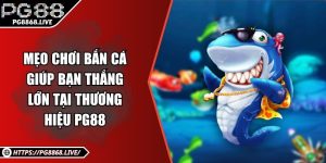 Tin Tức PG88 Kho Thông Tin Về Game Trực Tuyến Lớn Nhất