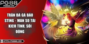 Tin Tức PG88 Kho Thông Tin Về Game Trực Tuyến Lớn Nhất