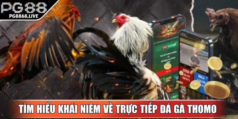 Trực Tiếp Đá Gà Thomo Hấp Dẫn Nhất Hiện Nay Dành Cho Bạn