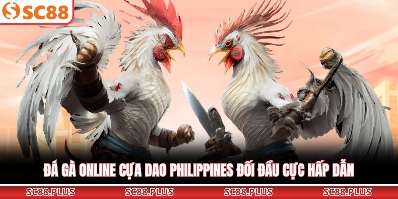 Đá Gà Online – Trải Nghiệm Đấu Trường Cực Đỉnh Cao Tại Nhà