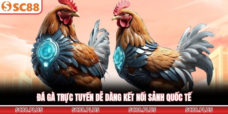 Đá Gà Online – Trải Nghiệm Đấu Trường Cực Đỉnh Cao Tại Nhà