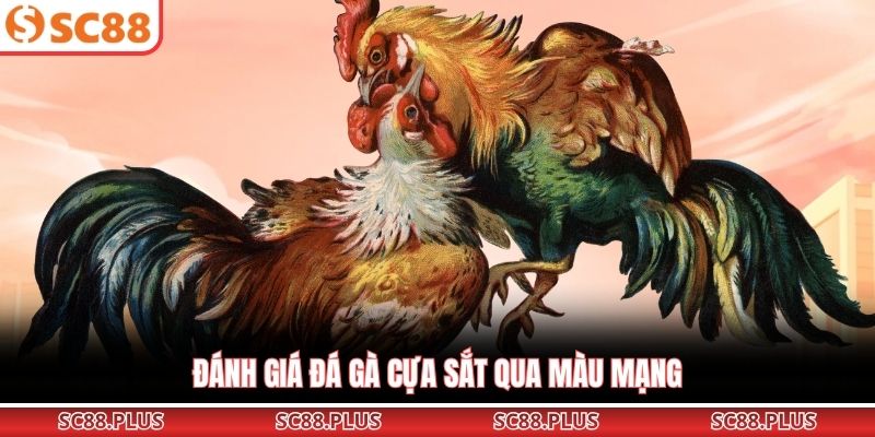 Đá Gà Cựa Sắt – Đỉnh Cao Đối Đầu Kịch Tính Tại Đấu Trường