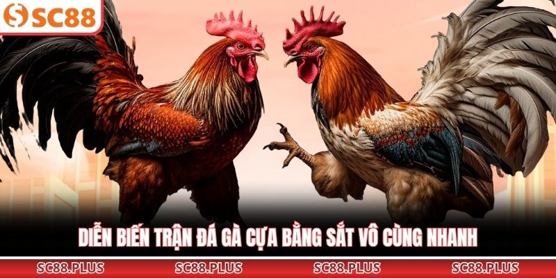 Đá Gà Cựa Sắt – Đỉnh Cao Đối Đầu Kịch Tính Tại Đấu Trường