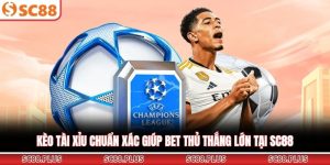 Thể thao SC88 - Sảnh Cược Đầy Ấn Tượng Cho Bet Thủ 2026