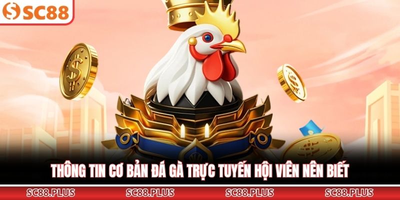 Đá Gà Online – Trải Nghiệm Đấu Trường Cực Đỉnh Cao Tại Nhà