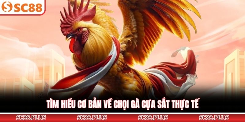 Đá Gà Cựa Sắt – Đỉnh Cao Đối Đầu Kịch Tính Tại Đấu Trường