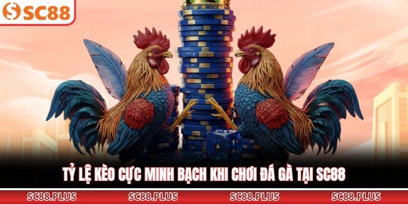 Đá Gà SC88 - Sảnh Cược Trực Tuyến Đẳng Cấp Và Uy Tín Nhất