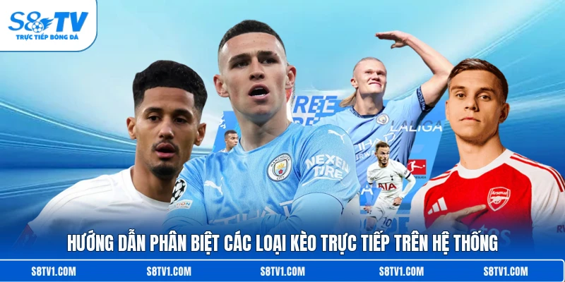 Kèo Rung Là Gì? Bí Quyết Chinh Phục Chiến Thắng Tại S8TV